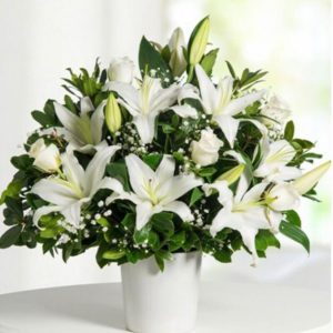 Condolencias y sufragios Cali