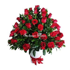 Ramos Rendondos Cali