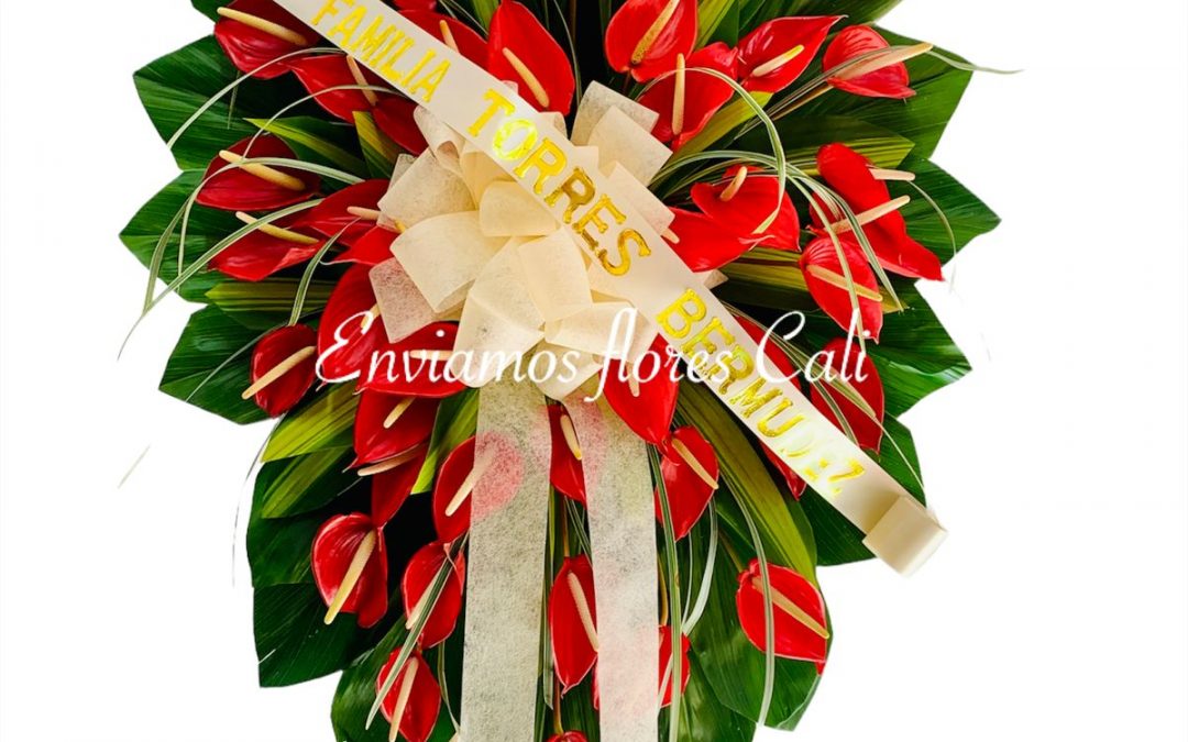 Ramos y Coronas Fúnebres Cali