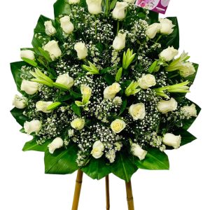 Abanico Fúnebre Cali