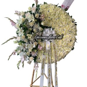 Corona Tapizada Cali