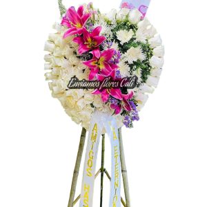 Corona Pedestal Cali