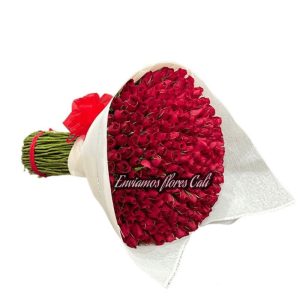 Bouquet Rosas Cali