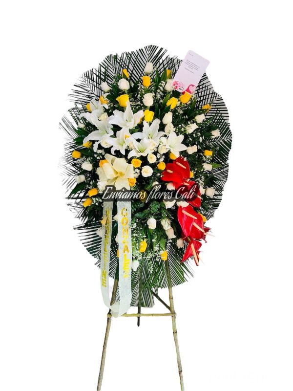 Corona Memorial Cali