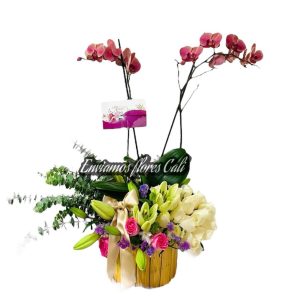 Flores Para Condolencias Cali