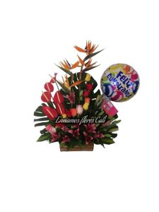 Arreglos Florales Modernos Cali