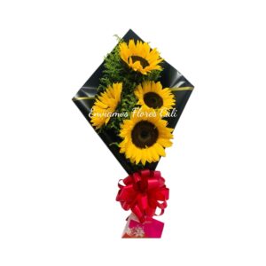 Girasoles Para Dia Mujer Cali